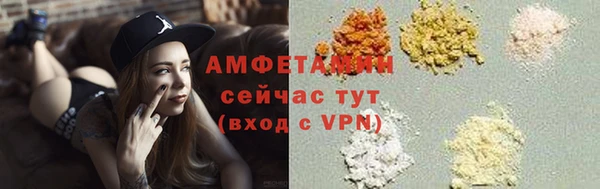 стаф Алзамай